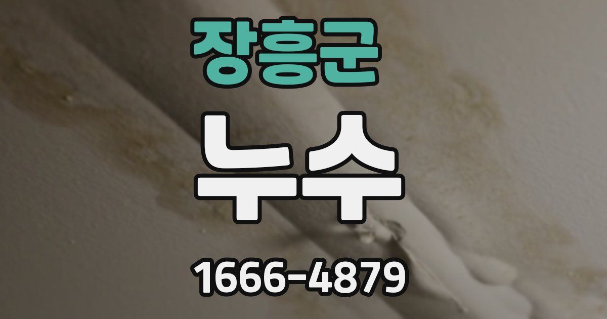 장흥군 누수