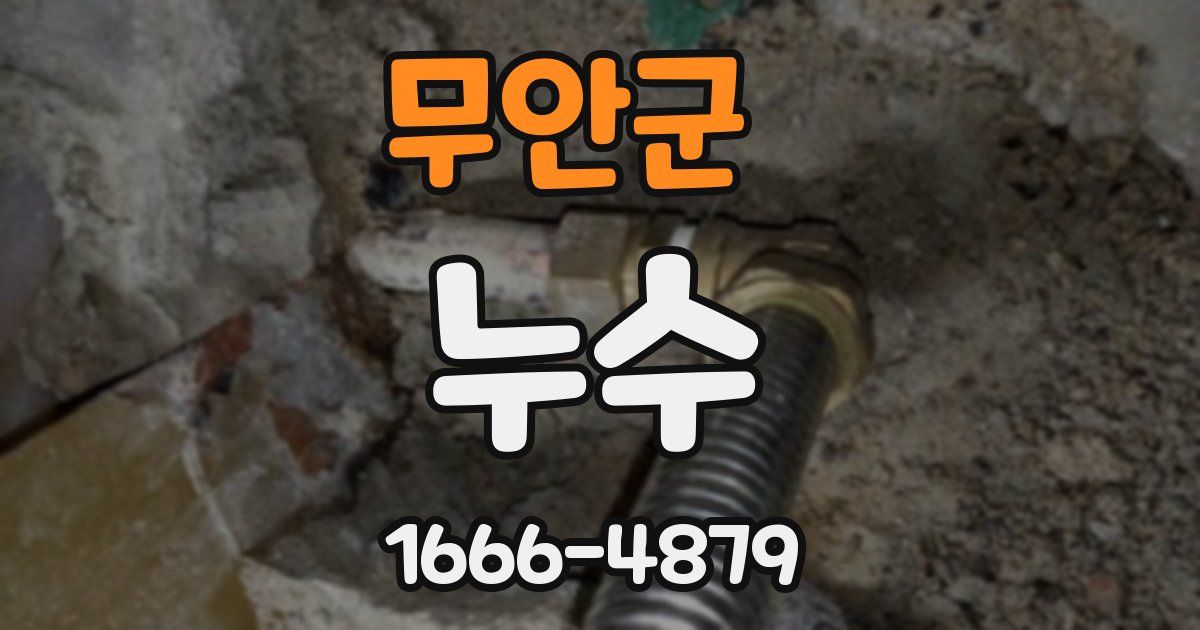 무안군 누수