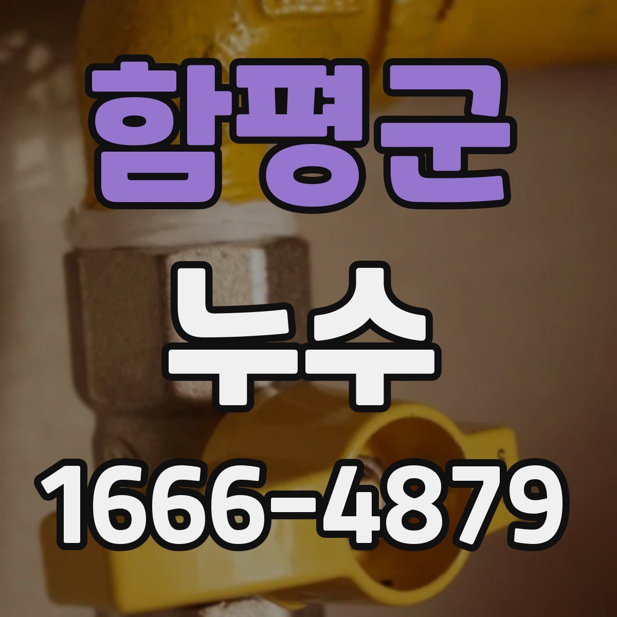 함평군 누수