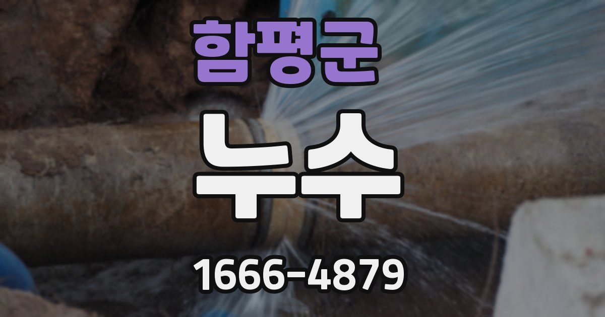 함평군 누수