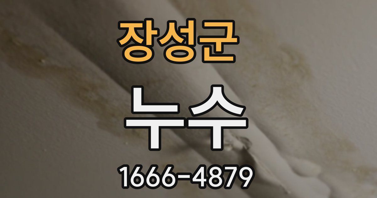 장성군 누수