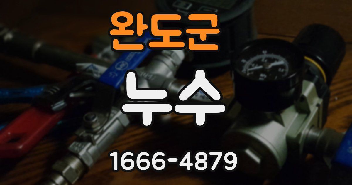 완도군 누수