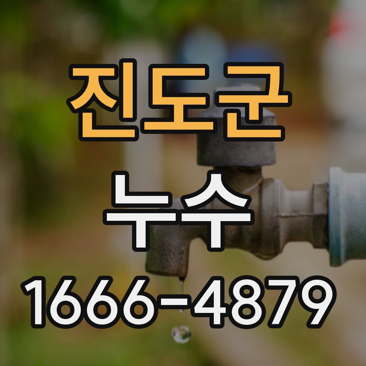 진도군 누수