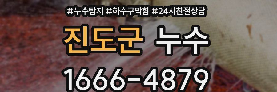 진도군 누수