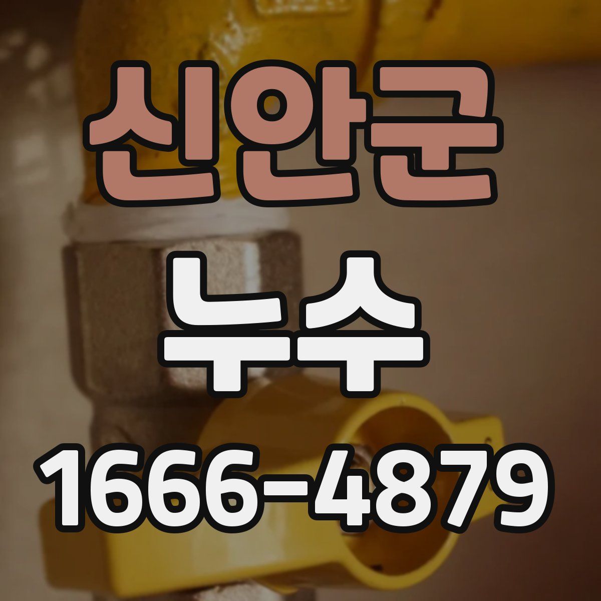 신안군 누수