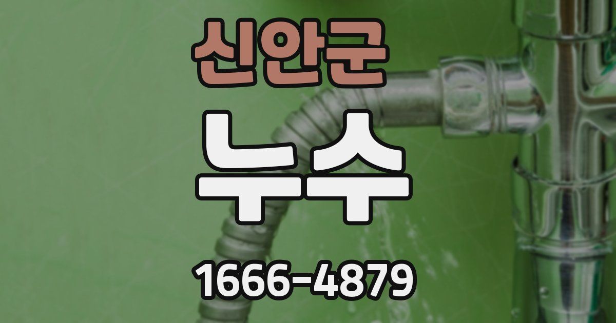 신안군 누수