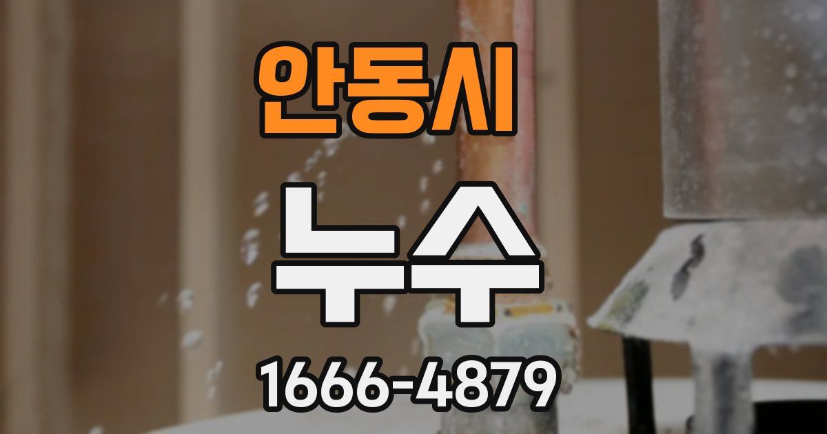 안동시 누수