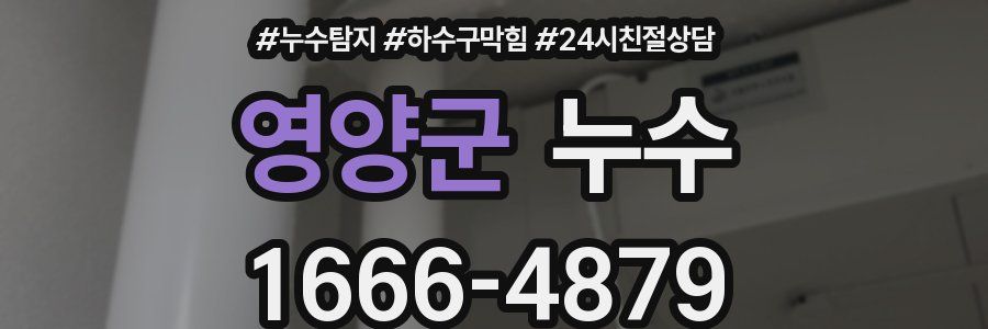 영양군 누수