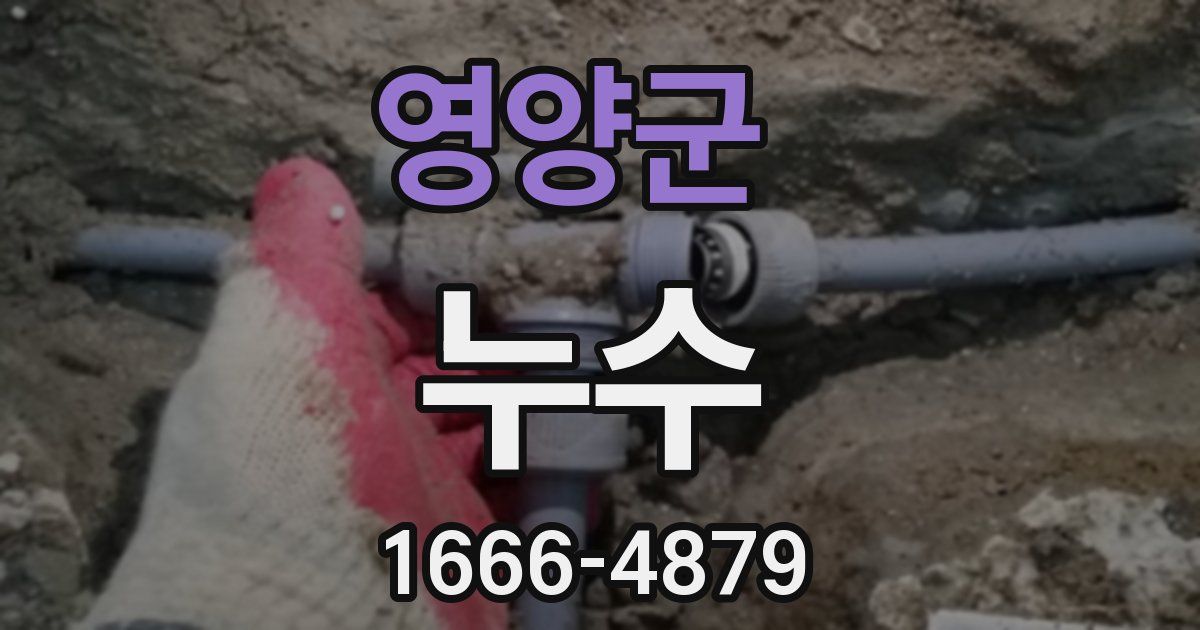 영양군 누수