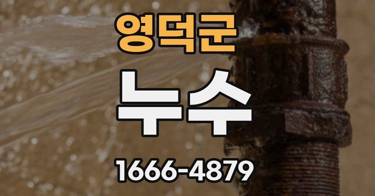 영덕군 누수