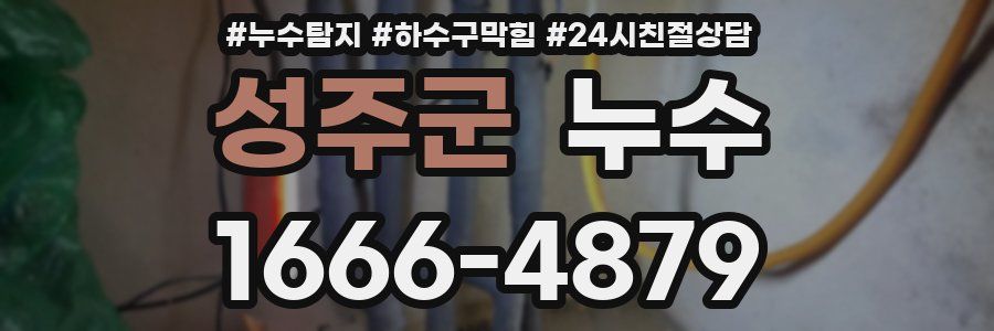 성주군 누수