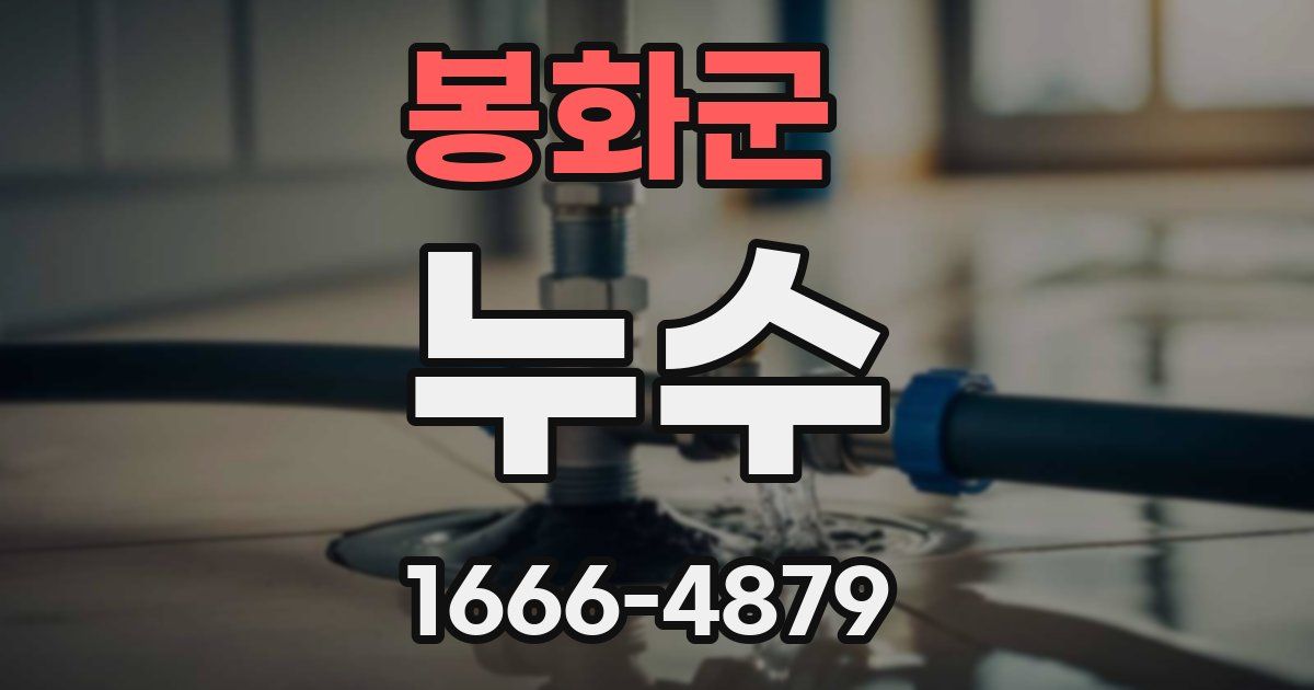 봉화군 누수