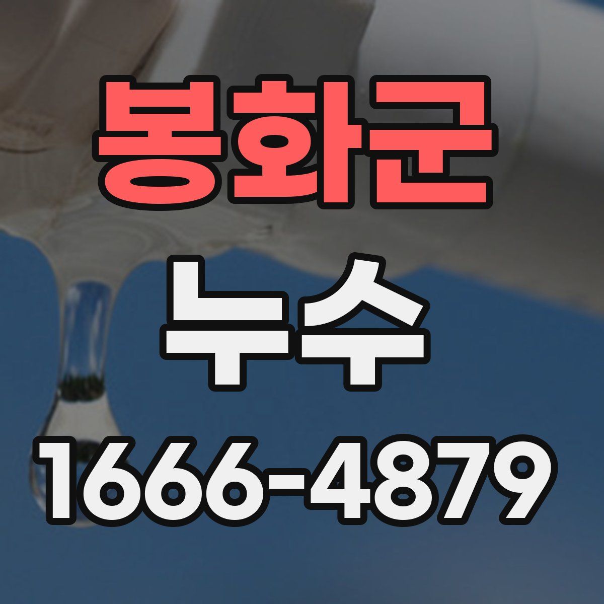 봉화군 누수