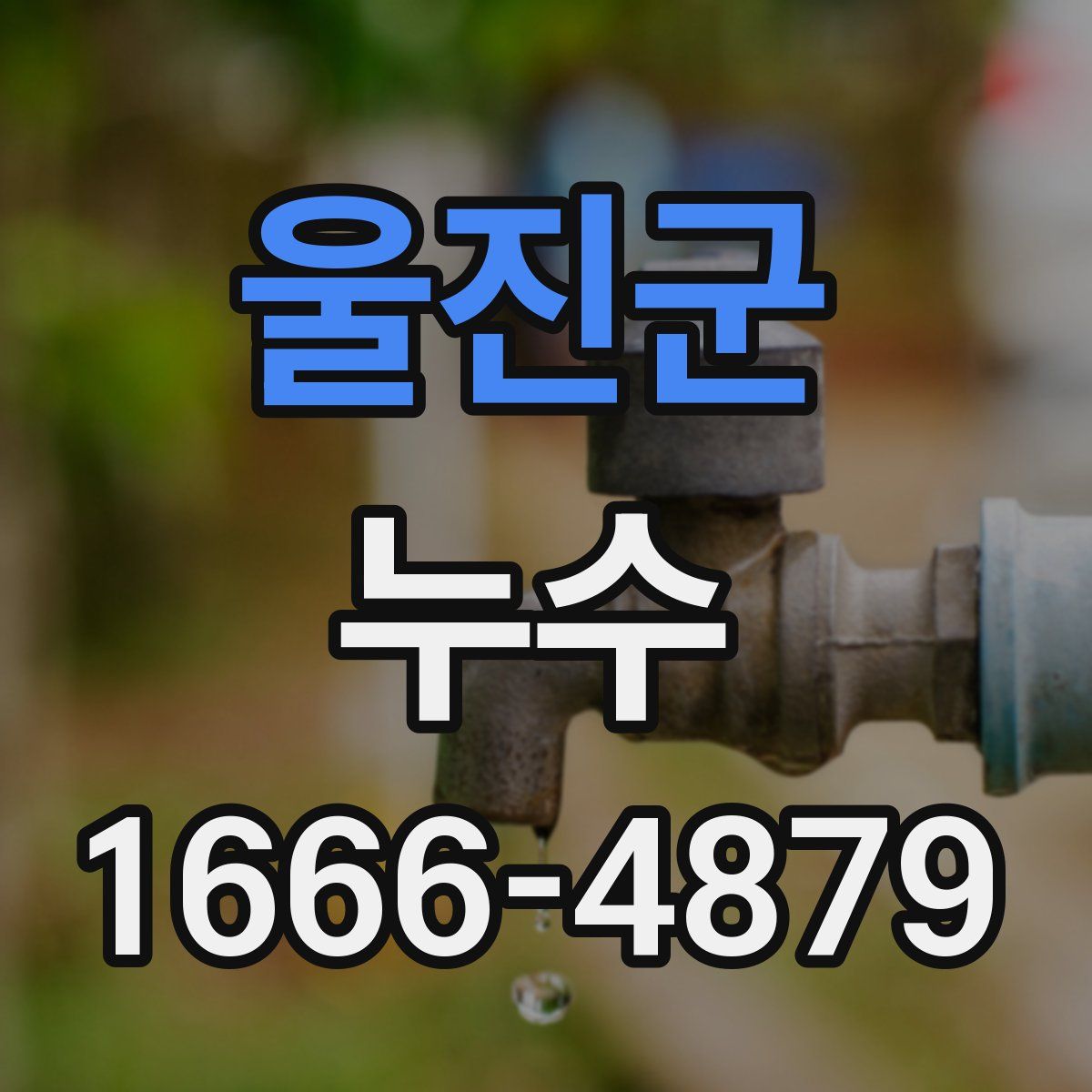 울진군 누수