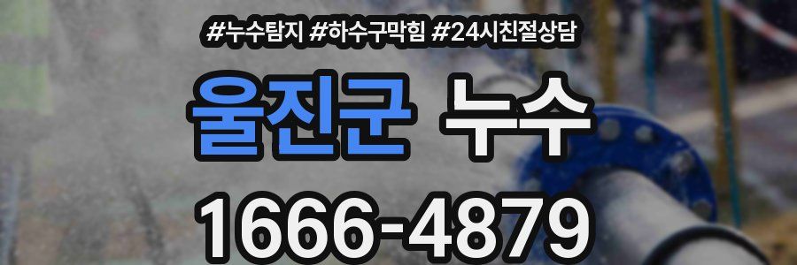 울진군 누수