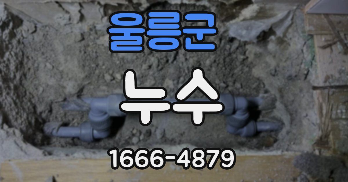 울릉군 누수