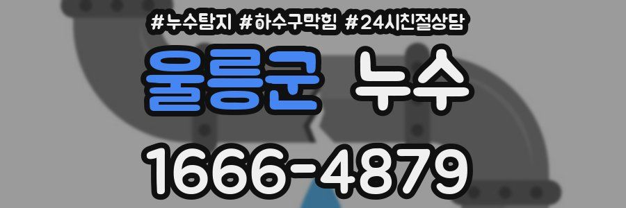 울릉군 누수
