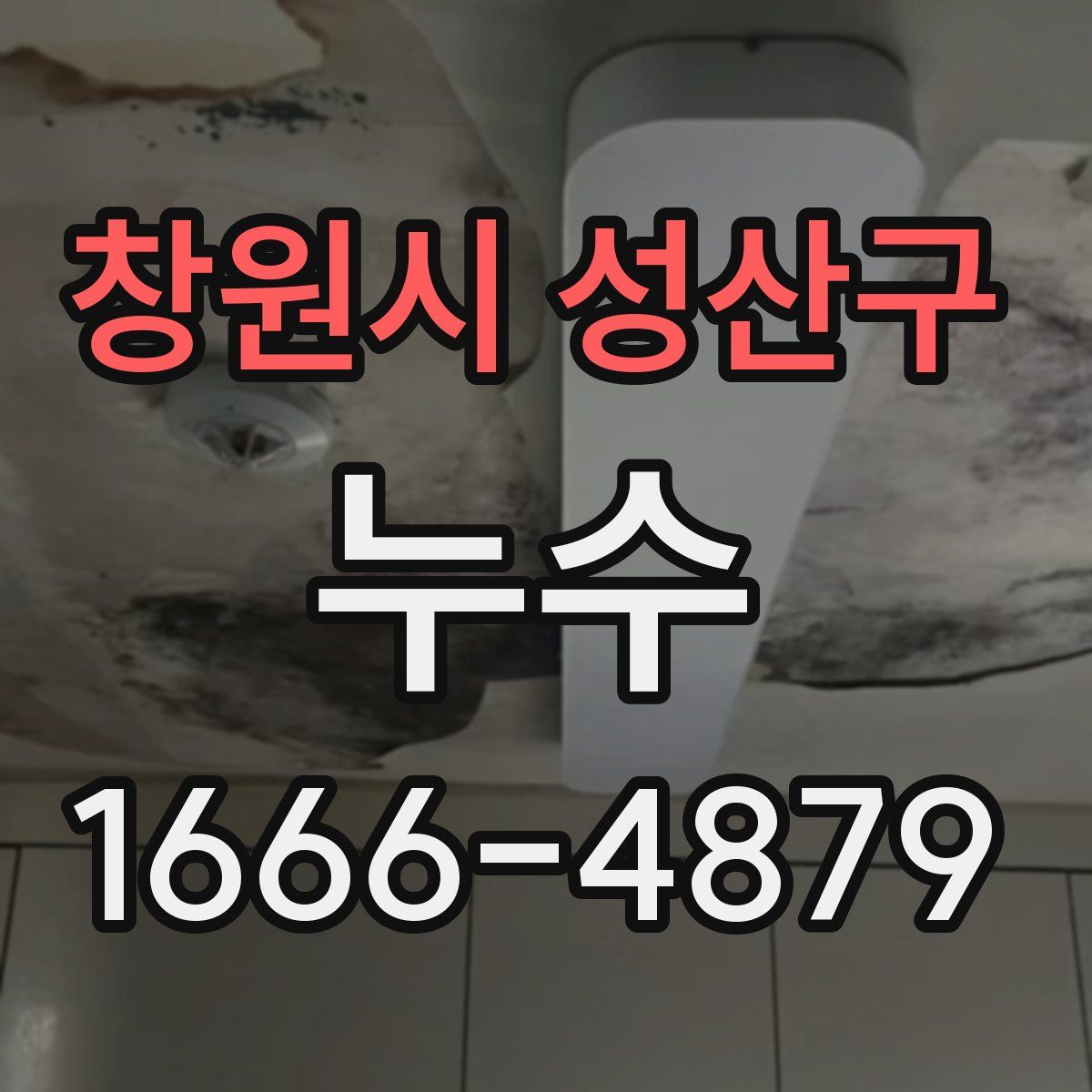 창원시 성산구 누수