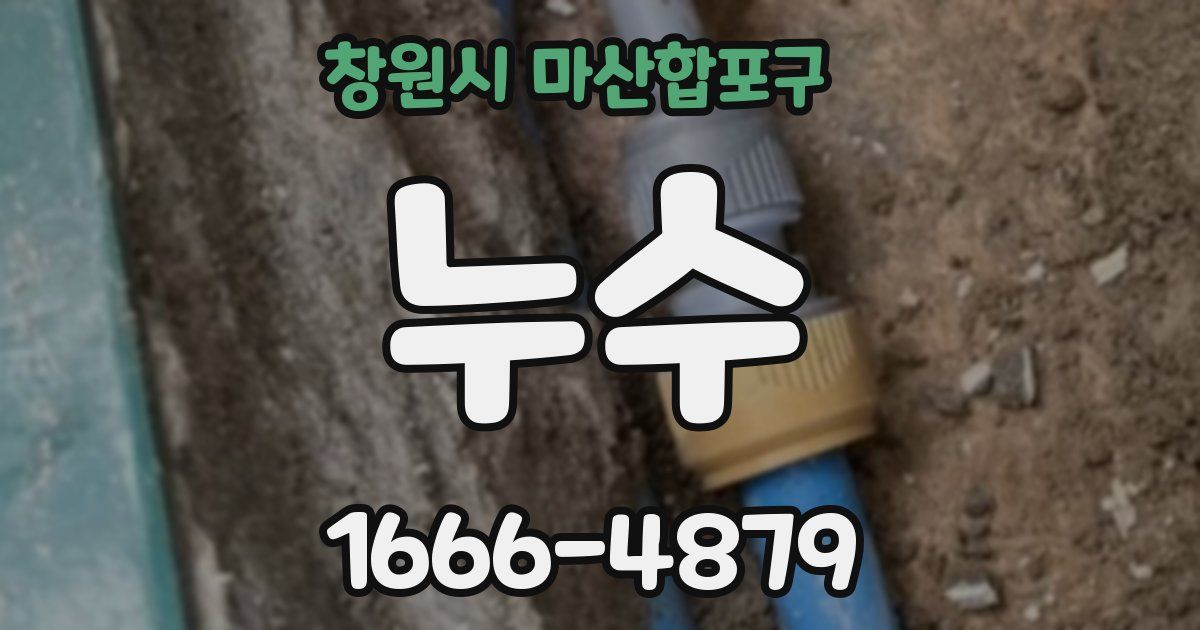 창원시 마산합포구 누수