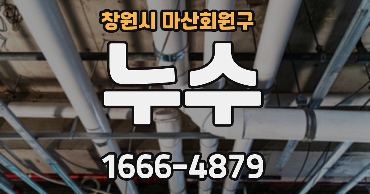 창원시 마산회원구 누수