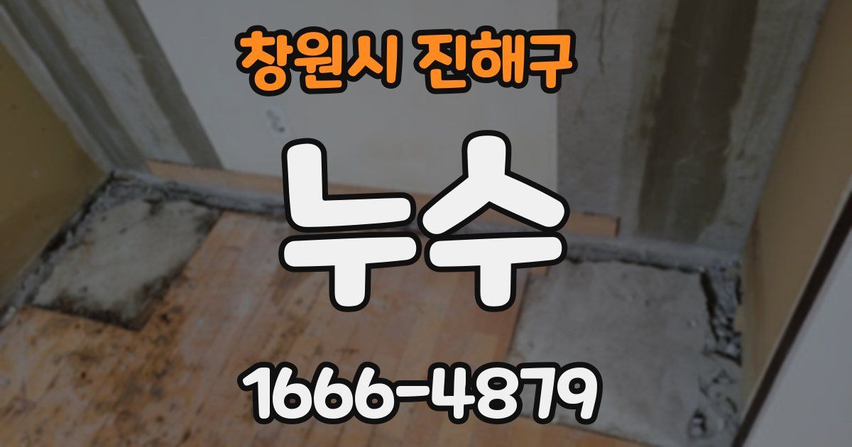창원시 진해구 누수