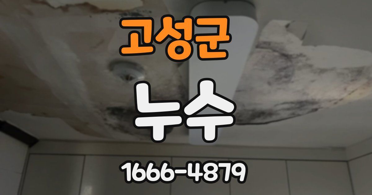 고성군 누수