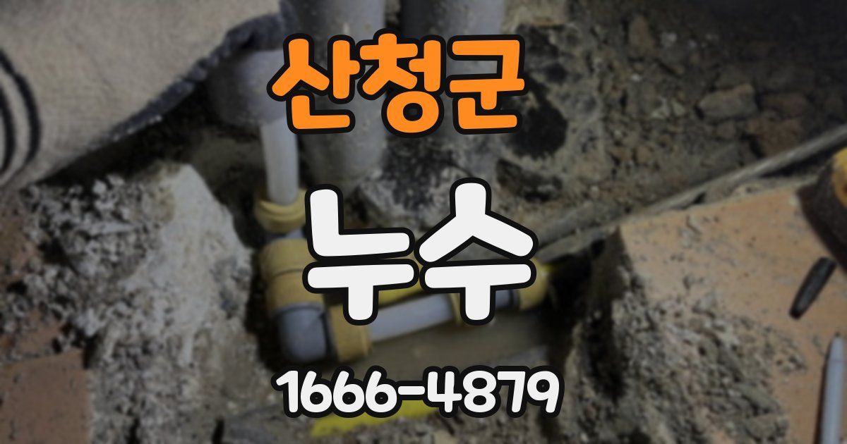 산청군 누수