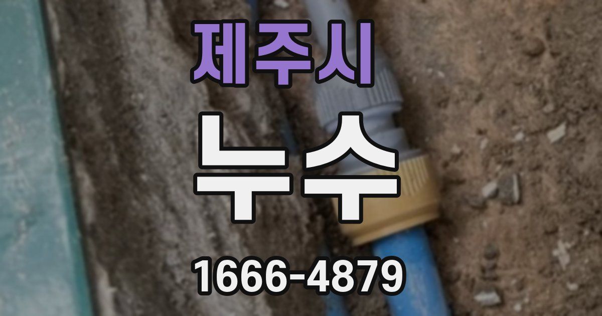 제주시 누수