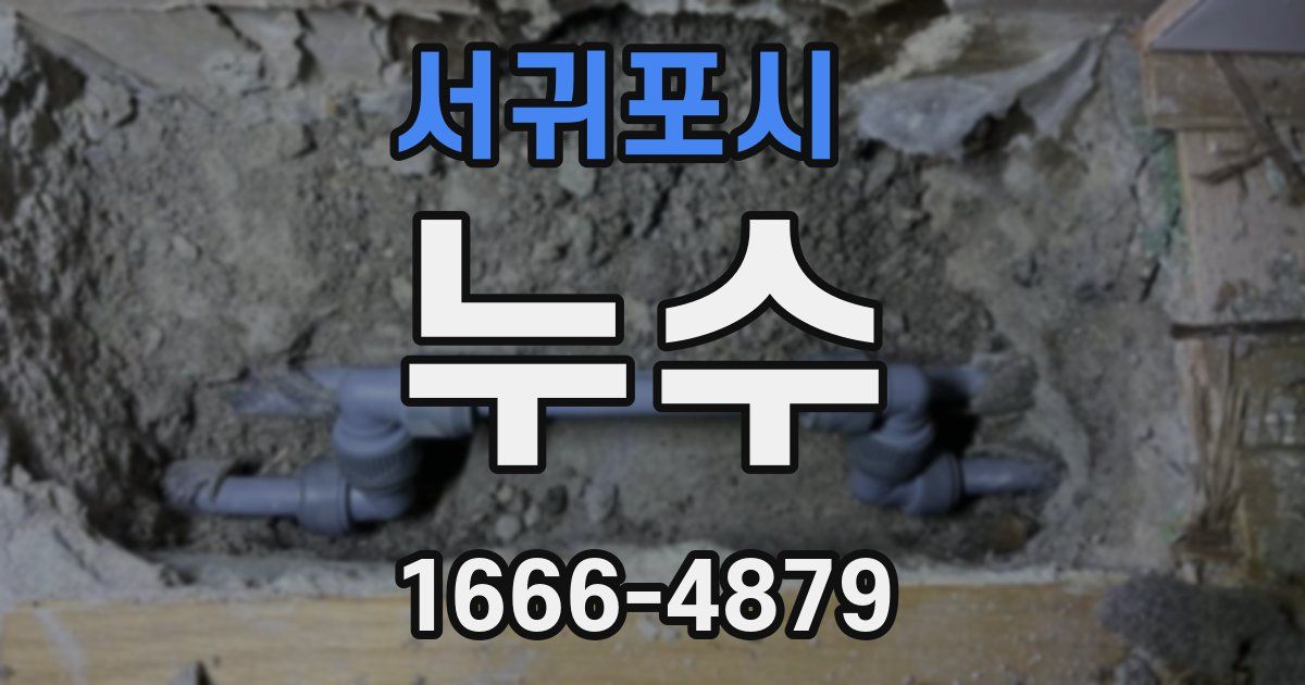 서귀포시 누수