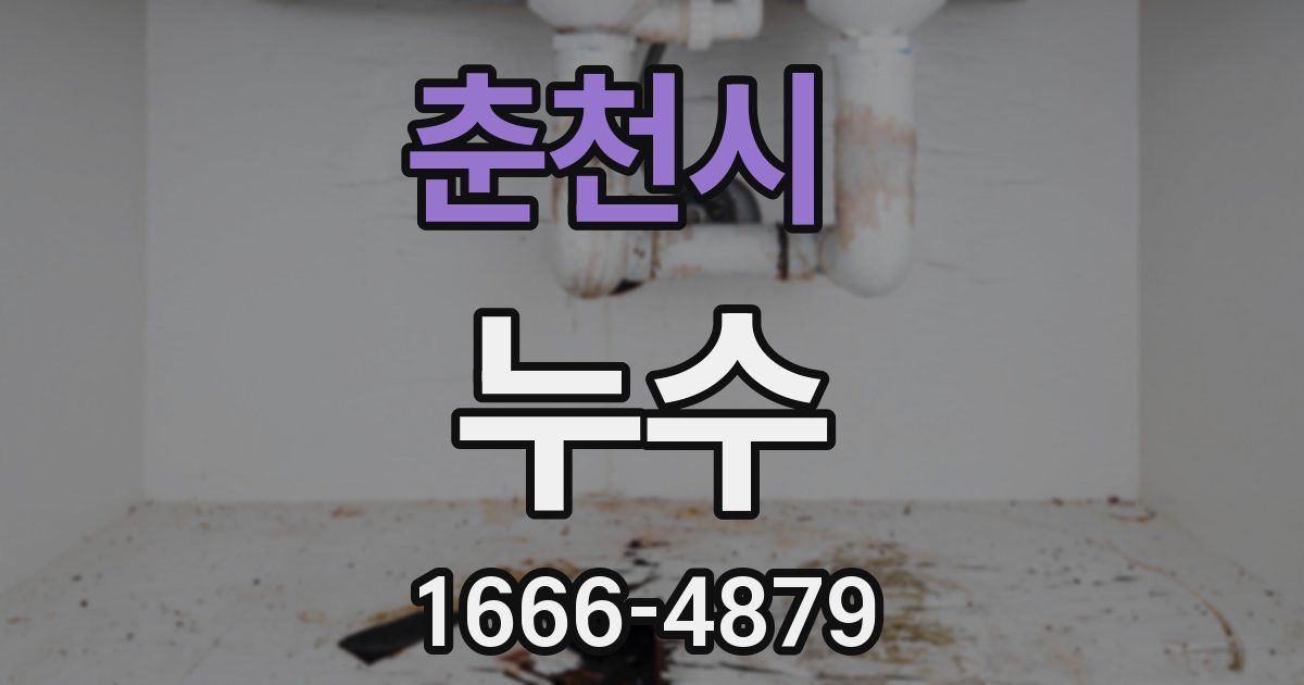 춘천시 누수