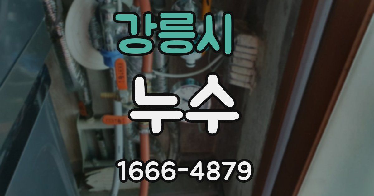 강릉시 누수