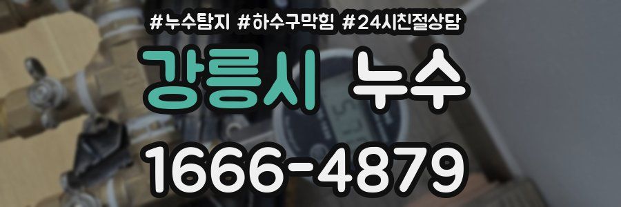강릉시 누수