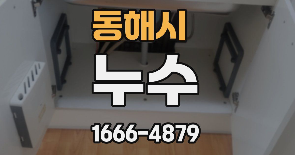 동해시 누수
