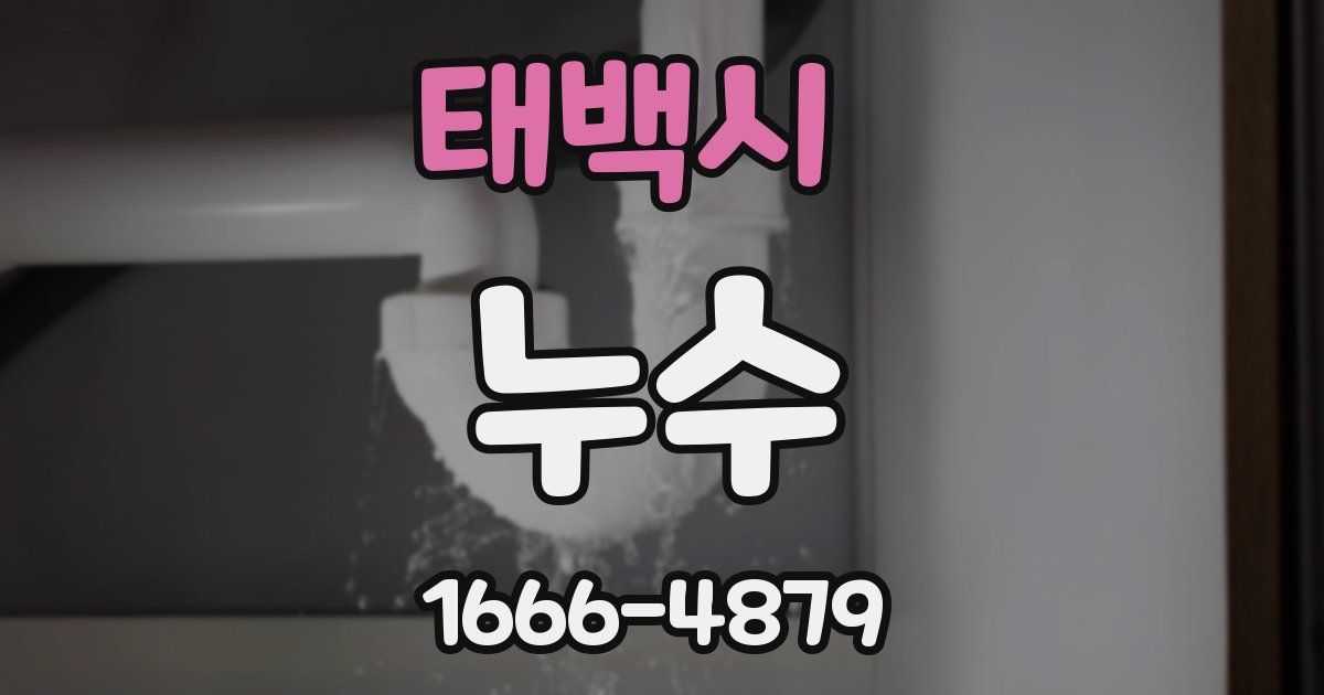 태백시 누수