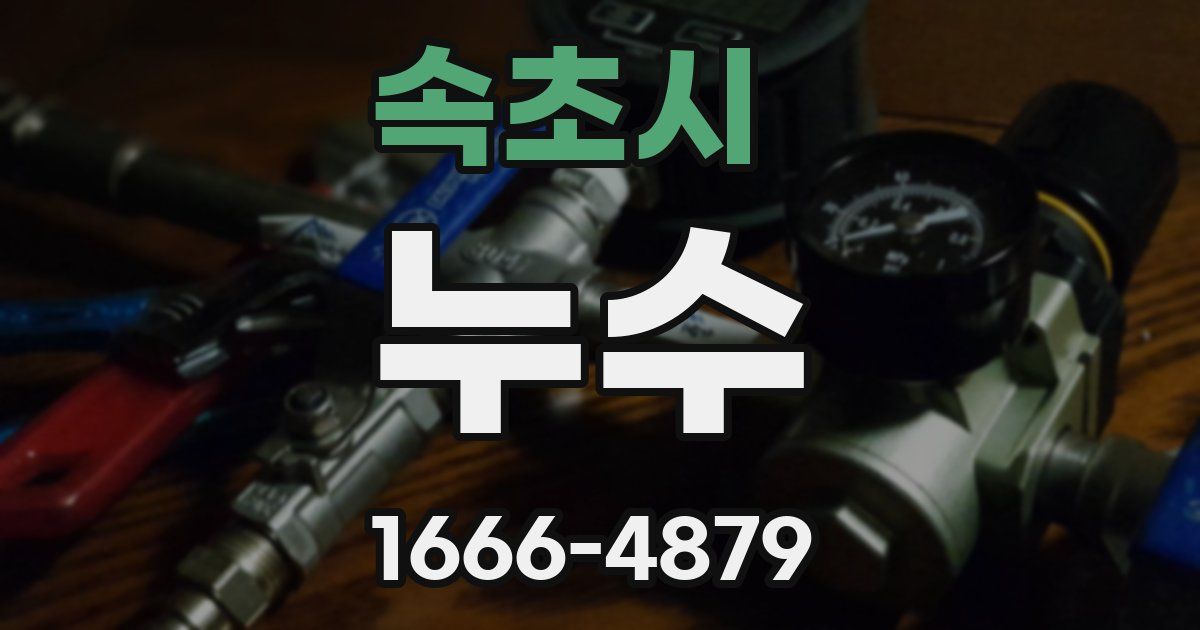 속초시 누수