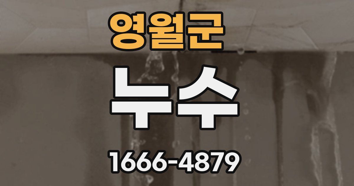 영월군 누수