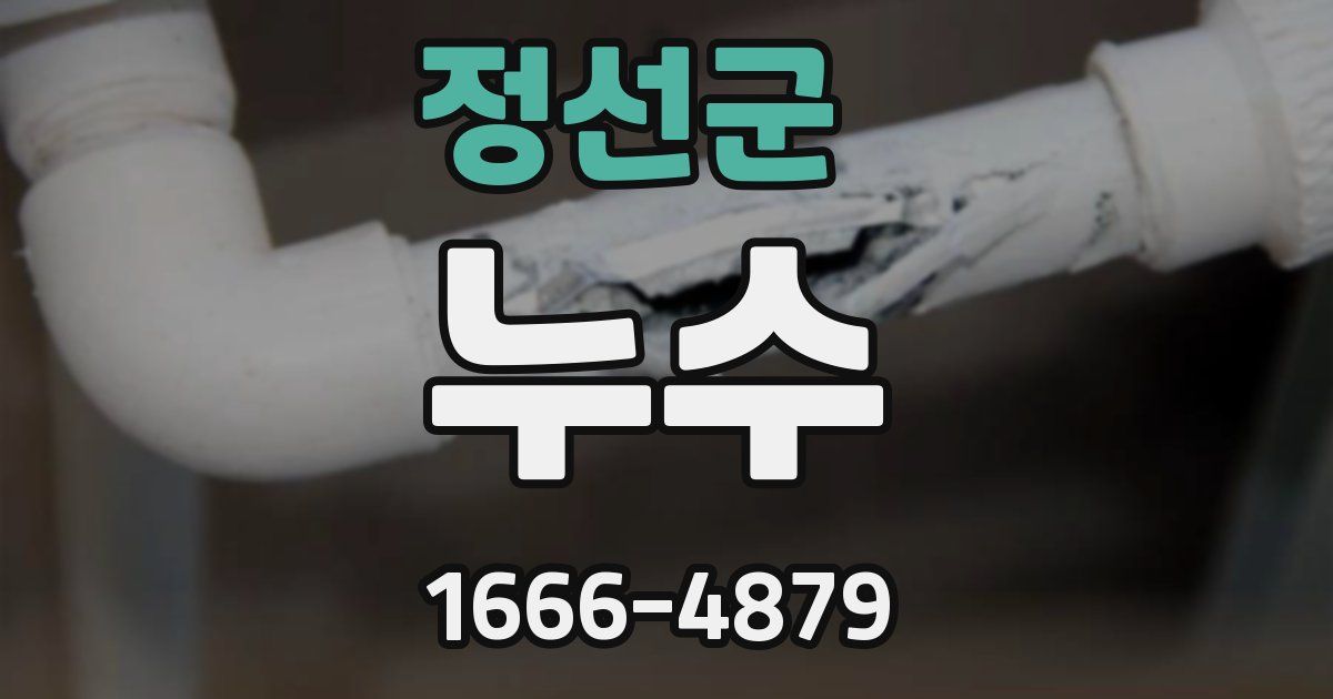 정선군 누수