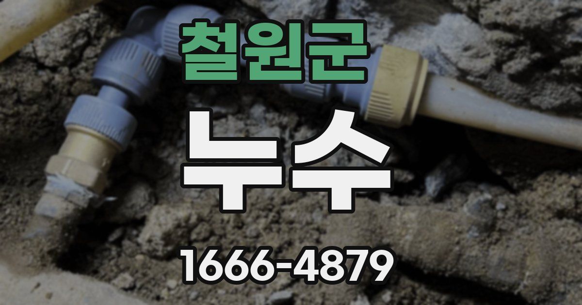 철원군 누수