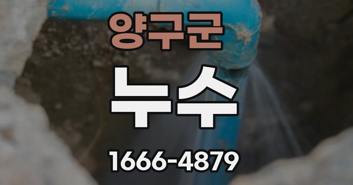 양구군 누수