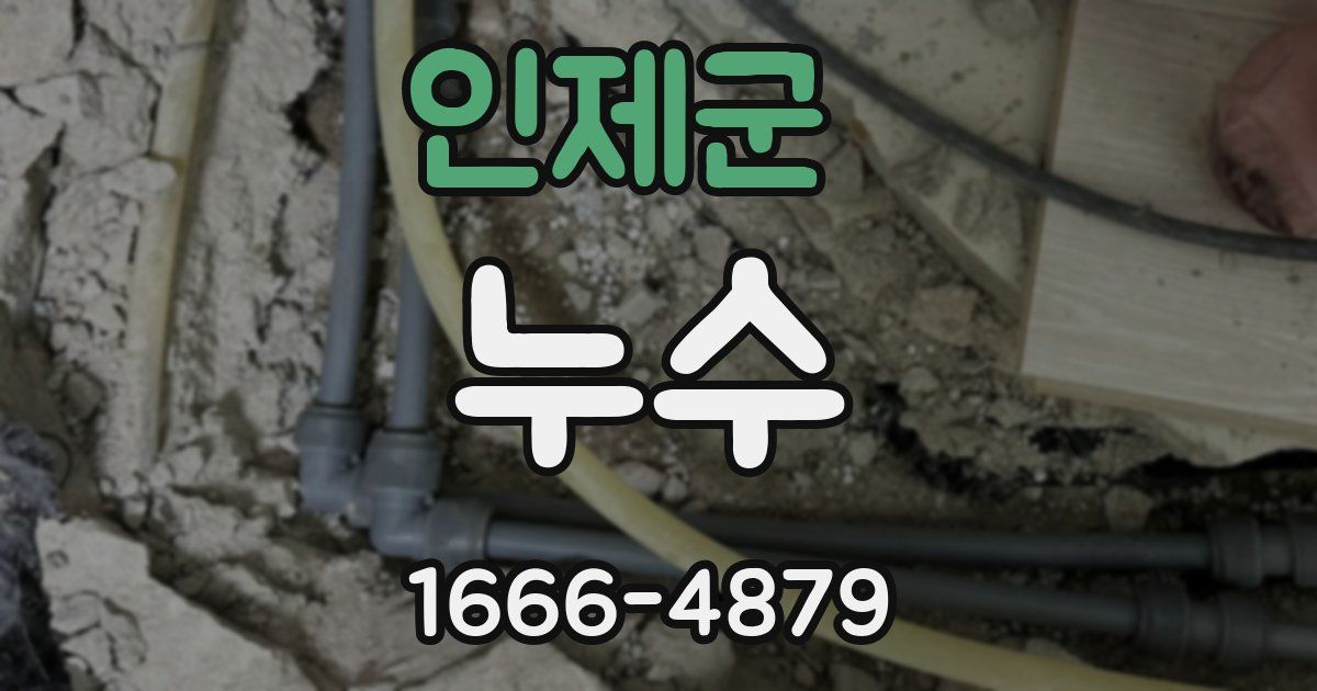 인제군 누수
