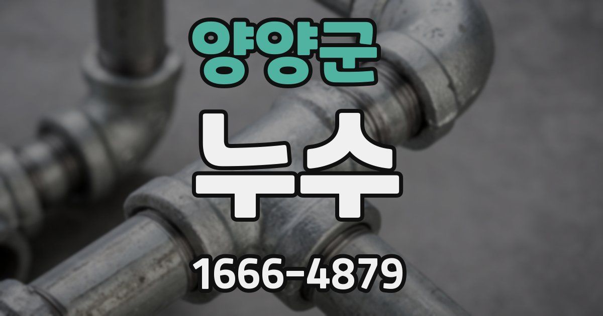 양양군 누수