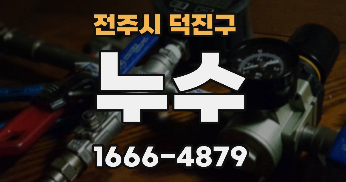 전주시 덕진구 누수