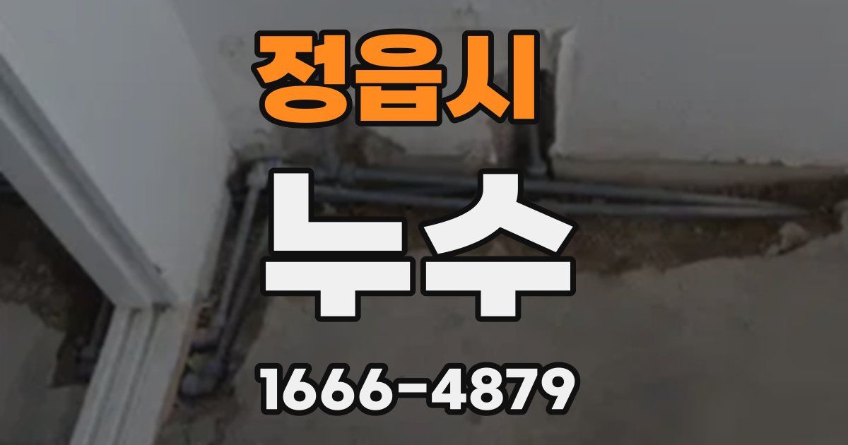정읍시 누수