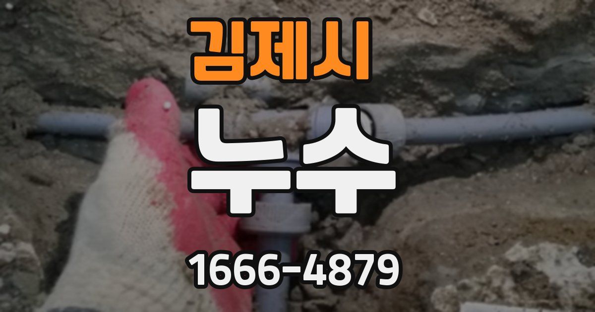 김제시 누수