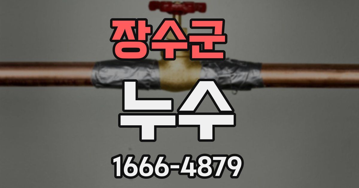 장수군 누수