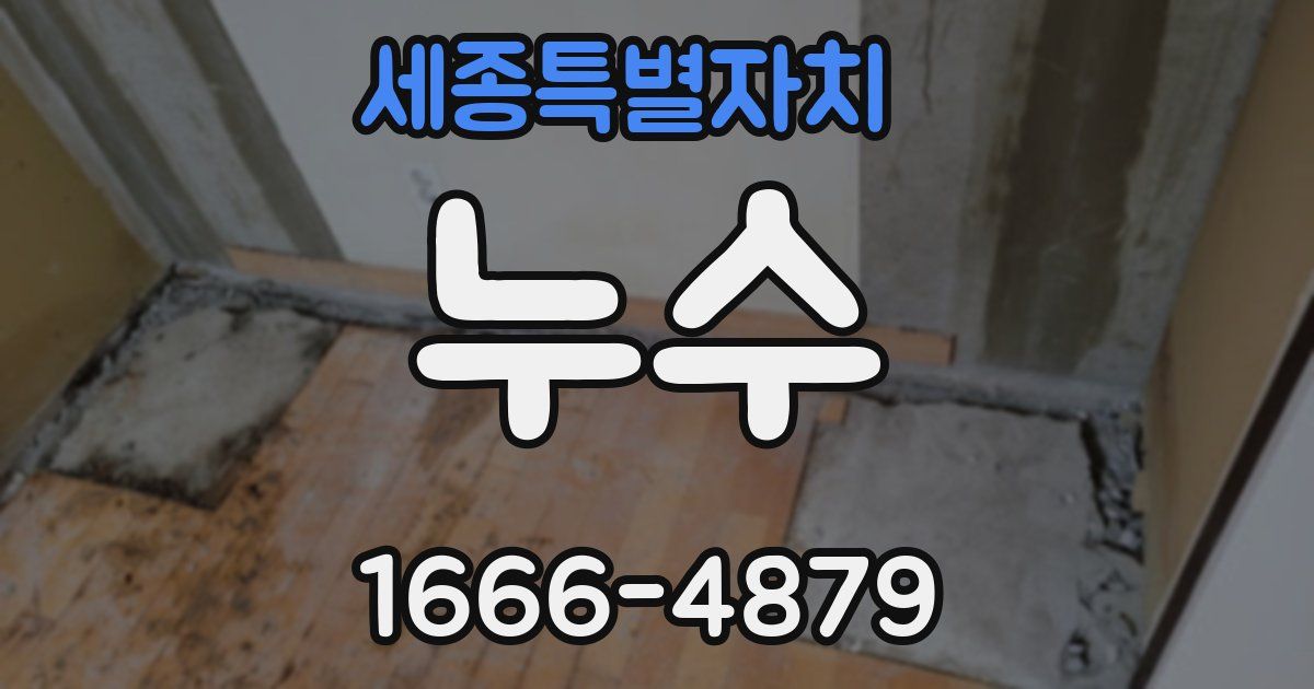 세종특별자치 누수