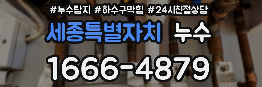 세종특별자치 누수