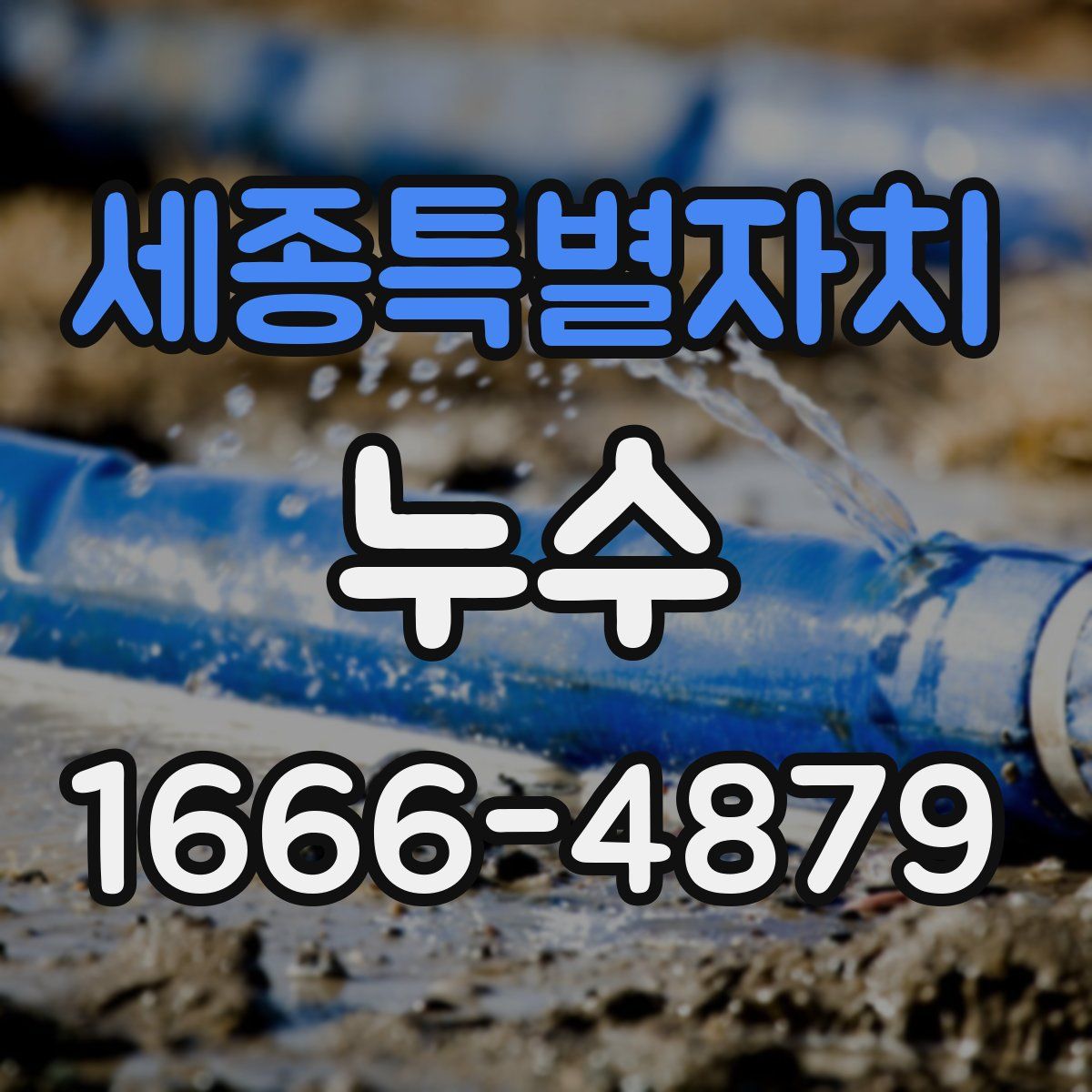 세종특별자치 누수