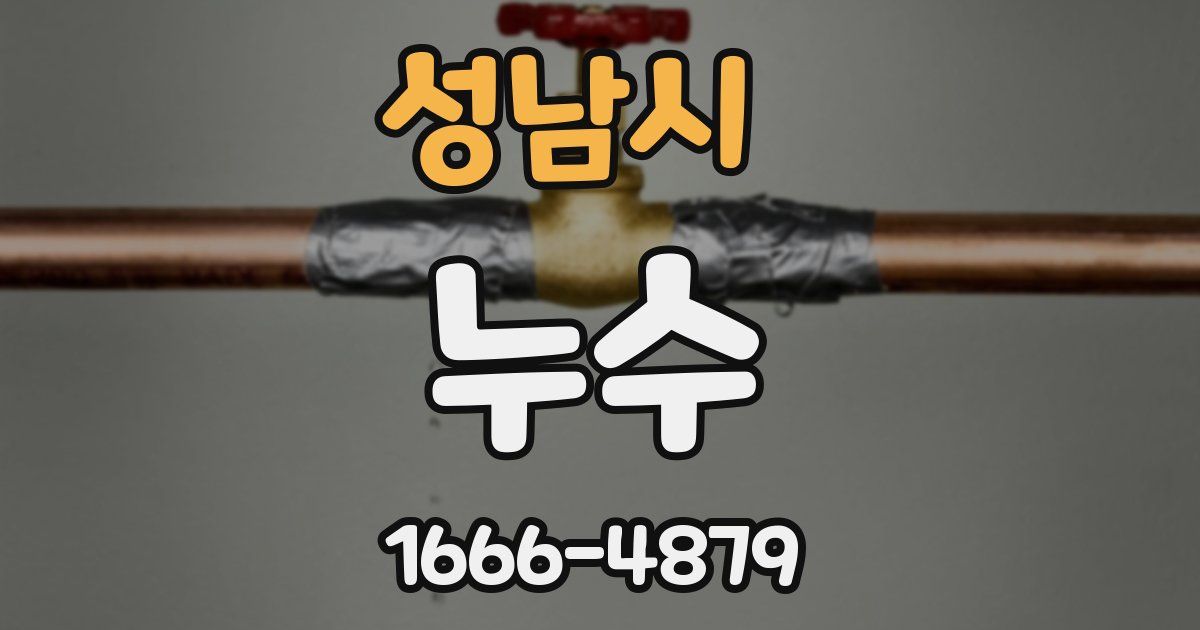 성남시 누수