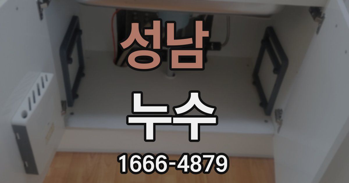 성남 누수